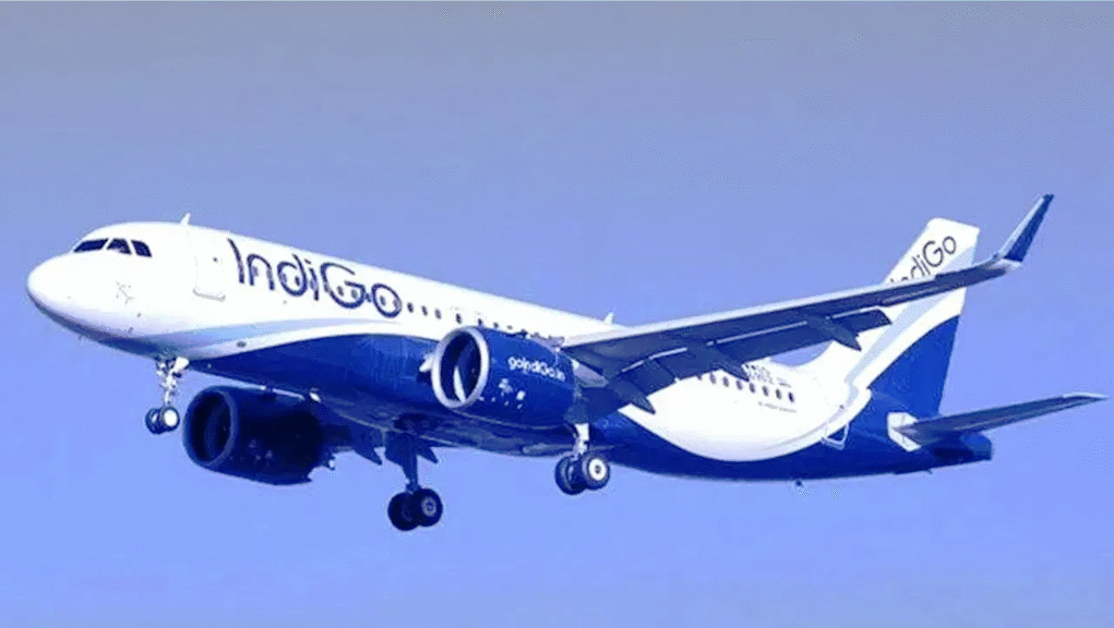 Indigo flight