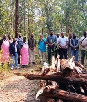 अचानकमार अभयारण्य में मारे गए बाघ के पोस्टमार्टम में टूटी गर्दन, दांतों के निशान मिले