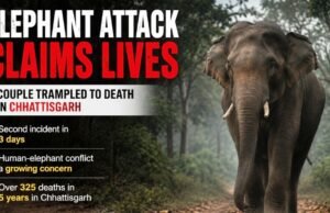 झुंड से बिछुड़े हाथी के हमले में दंपती की दर्दनाक मौत, तीन दिनों में चार लोगों की गई जान