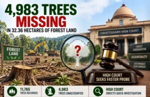 उत्तर बस्तर के 32.36 हेक्टेयर जंगल में 4,983 पेड़ों का हिसाब गायब, हाईकोर्ट ने जांच तेज करने को कहा